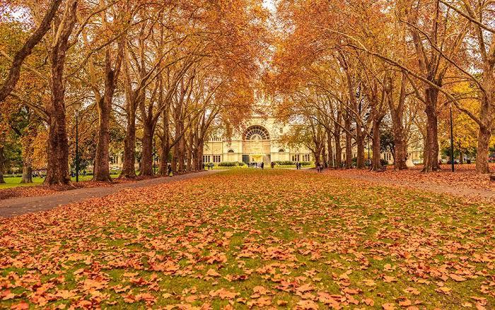 A View From An Australian -Things I Miss About Home